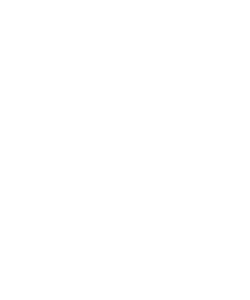 LOGO-FOOTER